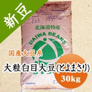 豆 大豆　とよまさり 北海道産 味噌 令和5年産 30kg 送料無料　