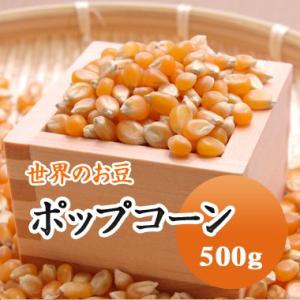 ポップコーン アメリカ産 500g