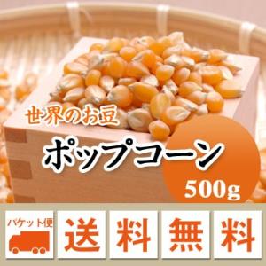 ポップコーン アメリカ産 500g メール便送料無料 ※日時指定不可・代引不可・同梱不可商品　