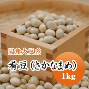 大豆 肴豆 ( さかな豆 ) 宮城県産 1kg 令和５年産｜mamehei