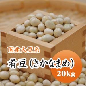 大豆 肴豆 ( さかな豆 ) 宮城県産 20kg 令和５年産｜mamehei