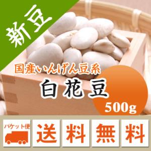 豆 白花豆 北海道産 令和３年産   500g ※日時指定不可・代引不可・同梱不可商品　