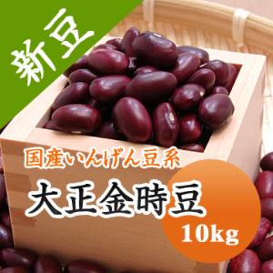 豆 金時豆 北海道産 大正金時 【令和７年産】 10kg 業務用 送料無料　