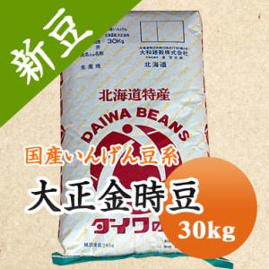 豆 金時豆 北海道産 大正金時 令和５年産 30kg 業務用 送料無料　