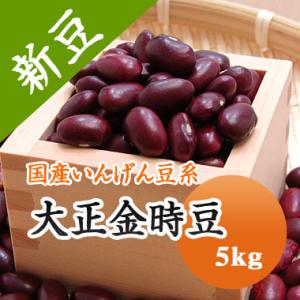 豆 金時豆 送料無料 北海道産 大正金時 【令和７年産】 5kg 業務用　