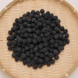 丹波黒豆 大玉 ３Lサイズ 岡山県産 令和６年産 200g