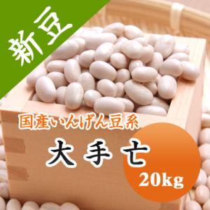 豆 白いんげん豆 送料無料 北海道産 大手亡 令和５年産 20kg 業務用｜mamehei