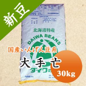 豆 白いんげん豆 送料無料 北海道産 大手亡 令和５年産 30kg 業務用