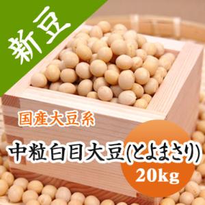 豆 大豆 中粒白目大豆 とよまさり 北海道産 送料無料 味噌 令和５年産 20kg 業務用