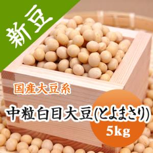 豆 大豆 中粒白目大豆 とよまさり 北海道産 味噌 令和５年産 5kg 業務用