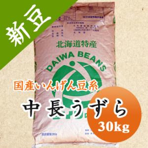 豆 うずら豆 送料無料 北海道産 中長うずら 令和５年産 30kg 業務用｜mamehei