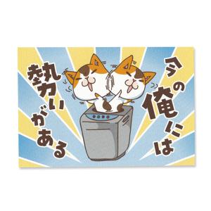 今の俺には勢いがある　 猫ポストカード　ねこ　ネコ｜mamekou-boo