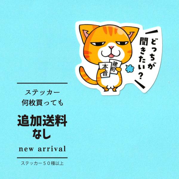 猫ステッカー　どっちが聞きたい？