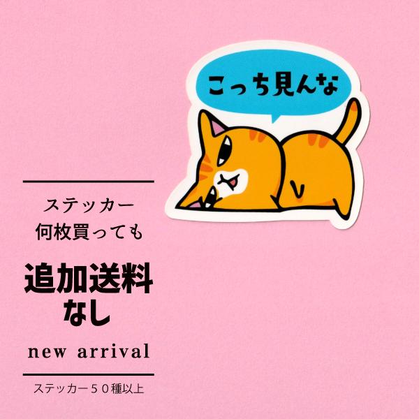 猫ステッカー　こっち見んな