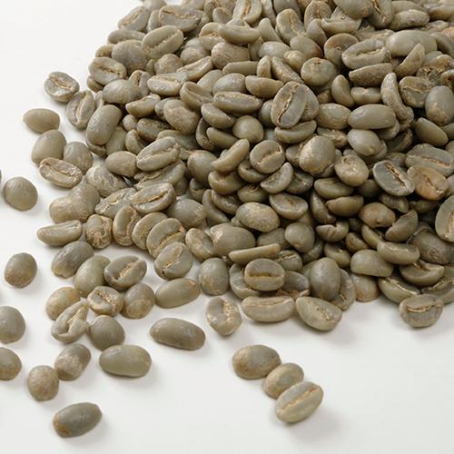 東ティモール・コカマウのコーヒー生豆 1kg