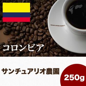 コーヒー豆 コロンビア サンチュアリオ 250g スペシャルティ コーヒー 珈琲 マメーズ焙煎工房｜mames