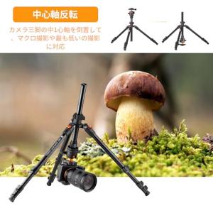 カメラ三脚 KF Concept 三脚 一眼レ...の詳細画像5