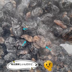 訳あり 丹波黒 甘納豆 500g×3袋セット ...の詳細画像1