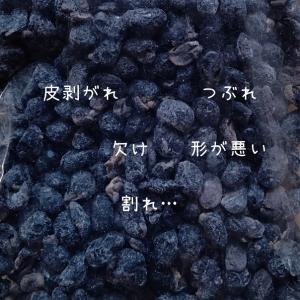 sio 訳あり 塩丹波黒豆しぼり 500g お...の詳細画像1