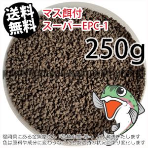 日清丸紅飼料マス稚魚スーパーEPC-1(粒径0.9〜1.9mm)250g小分け品(メール便／金魚小屋-希-福岡／3日)