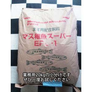 日清丸紅飼料マス稚魚スーパーEPC-1(粒径0...の詳細画像2