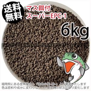 日清丸紅飼料マス稚魚スーパーEPC-1(粒径0.9〜1.9mm)6kg小分け品(★宅配便★※東北・北海道・沖縄は別途送料800円／金魚小屋-希-福岡／3日)｜mamez