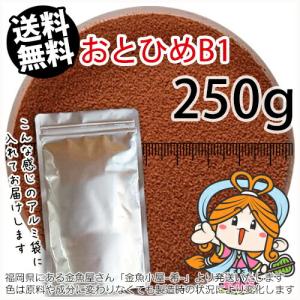 連休前発送4/21入金分まで◇日清丸紅飼料 おとひめB1/0.2〜0.36 連休前発送4/21入金分まで◇日清丸紅飼料 おとひめB1/0.2〜0.36