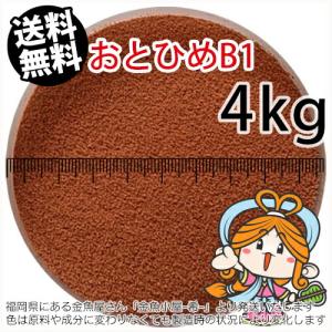 日清丸紅飼料 おとひめEP3 1kg×10P 合計10kg 沈下性 日清丸紅飼料 おとひめB1/0.2〜0.36mm/沈降性10kg(宅配便/メーカー直送