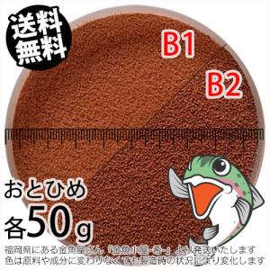 日清丸紅飼料 おとひめB1/0.2〜0.36mm/沈降性10kg(宅配便
