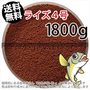 日清丸紅飼料ライズ4号(粒径0.58〜0.84mm)1800g小分け品(メール便／金魚小屋-希-福岡／3日)2kgから規格変更