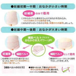 メール便送料無料 犬印 妊婦帯 HB8169 ...の詳細画像3