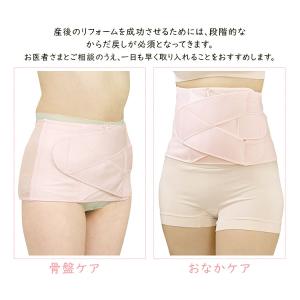 【メール便送料無料】【犬印本舗 産後すぐニッパ...の詳細画像3