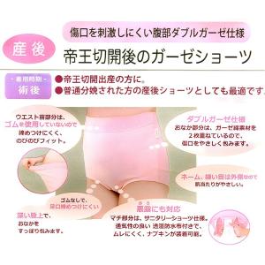 【メール便送料無料】【犬印本舗 SH2617】...の詳細画像1