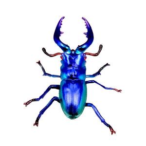 NJまみー様❣️専用商品 KYOSHO Mini-Z ボディ JKB86 TOYOTA FT86 2014 京商 ミニッツ