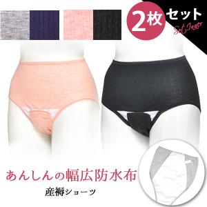 産褥ショーツ 2枚セット クロッチ開閉タイプ 洗い替え用