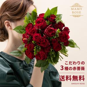 ゼラニウム 種 生花 の商品一覧 花 ガーデニング 通販 Yahoo ショッピング