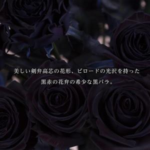本数を選べる黒バラの花束 誕生日やお祝い、記念...の詳細画像1