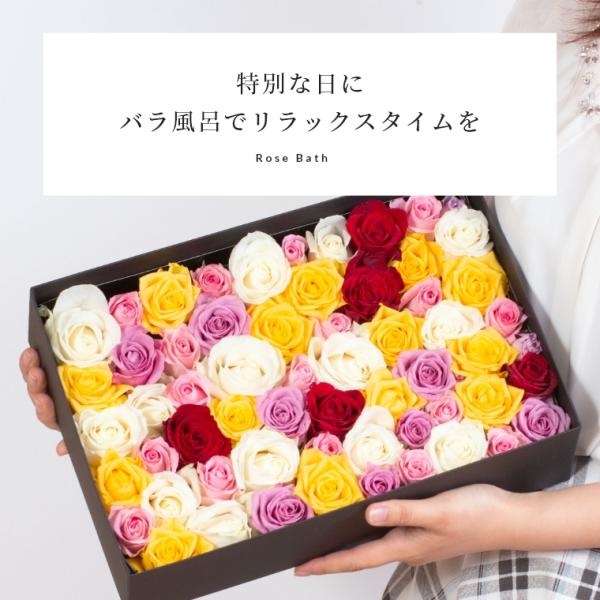 【おまかせMIXカラー】 バラ風呂ギフト 65輪〜80輪 ローズバス 薔薇風呂 ばら風呂 フラワーシ...