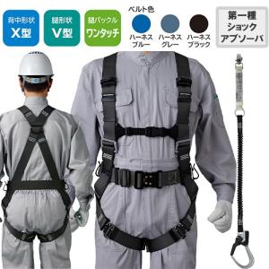安全帯 フルハーネス ランヤード セット 墜落制止用器具 タニザワ ST