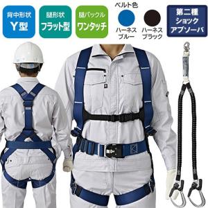 安全帯セット 安全帯 フルハーネス ランヤード セット 墜落制止用器具 タニザワ ST