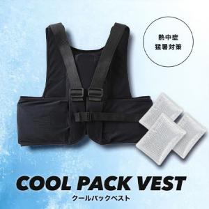 アイスベスト 保冷剤 最強 3個セット 熱中症...の詳細画像1