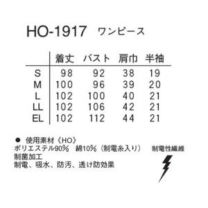 ワンピース 白衣 ナース服 半袖 HO-191...の詳細画像1