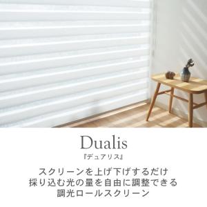 ロールスクリーン 調光 既製 既成 ロールカー...の詳細画像1