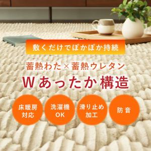 カーペット ラグ 敷物 絨毯 じゅうたん 20...の詳細画像1