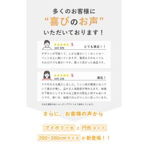 カーペット ラグ 敷物 絨毯 じゅうたん 20...の詳細画像2