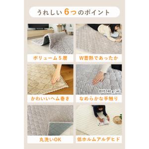 カーペット ラグ 敷物 絨毯 じゅうたん 20...の詳細画像3