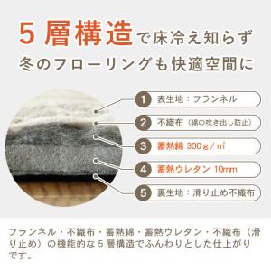 カーペット ラグ 敷物 絨毯 じゅうたん 20...の詳細画像4