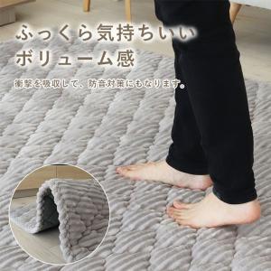 カーペット ラグ 敷物 絨毯 じゅうたん 20...の詳細画像5