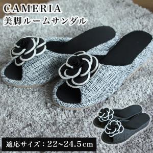 ルームシューズ 来客用 家庭用 フローリング 美...の商品画像