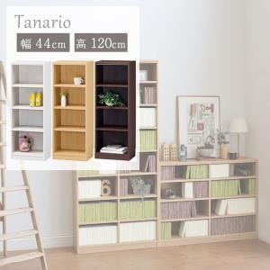 本棚 書棚 マガジンラック ラック 収納 幅87cm 高さ198cm収納 タナリオ